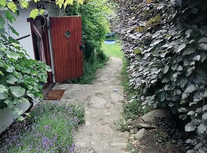 U Kocourka Sedlec-Prcice