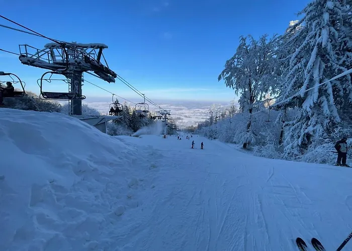 Casa de Férias U Kocourka Sedlec-Prcice