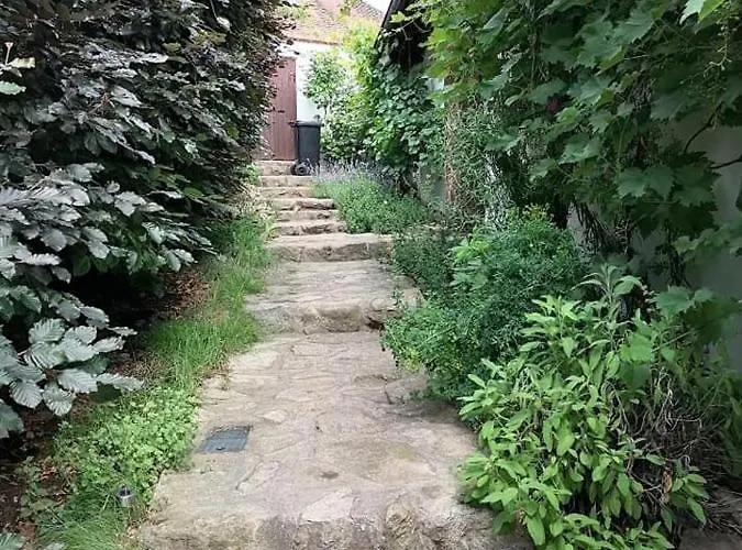 U Kocourka 펜션 Sedlec-Prcice