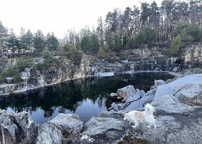 U Kocourka 펜션 Sedlec-Prcice