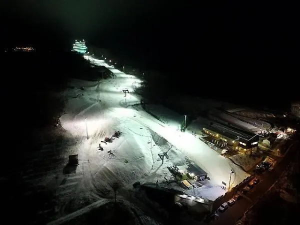 U Kocourka * Sedlec-Prcice